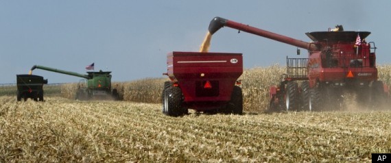 Farm Subsidies