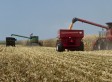 Farm Subsidies: House Appropriations Committee Approves Cuts