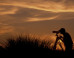 Tripods: The Key to Low-Light Photography