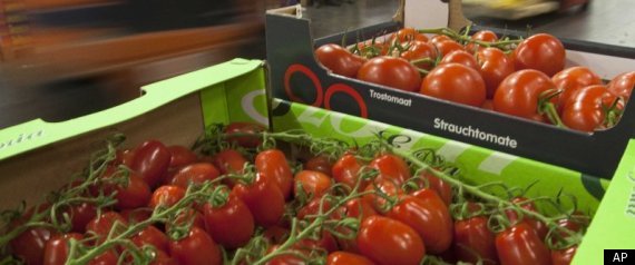 E Coli Outbreak
