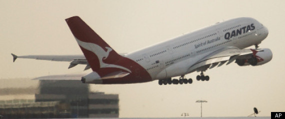 Rats On Qantas Plane