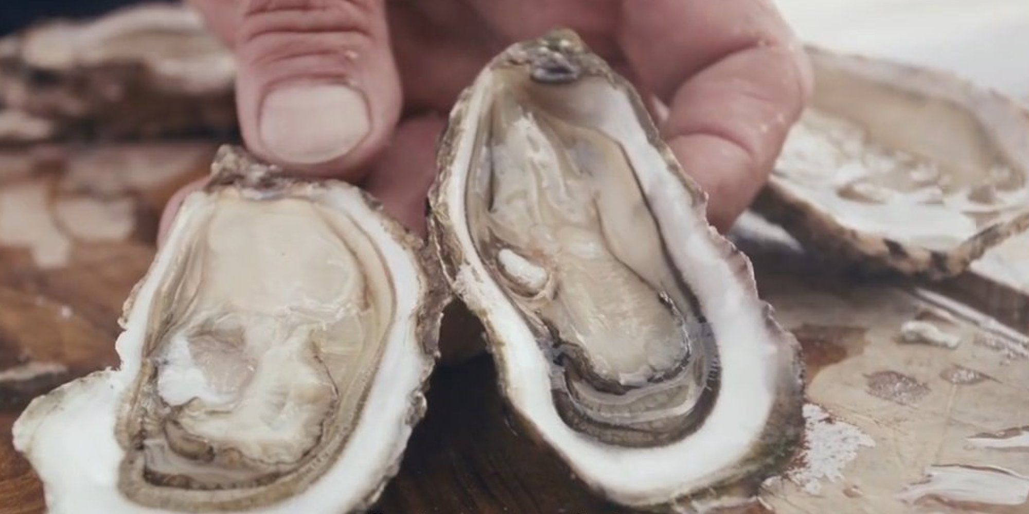 This Video Of An Oyster Farmer Will Make You Want To Change Careers