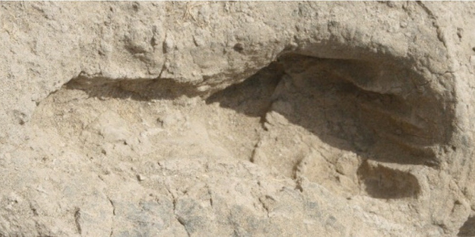 Ancient Footprints In Kenya May Show A Homo Erectus Hunting Party
