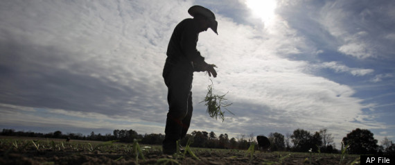 Illigration Immigration Everify Agriculture