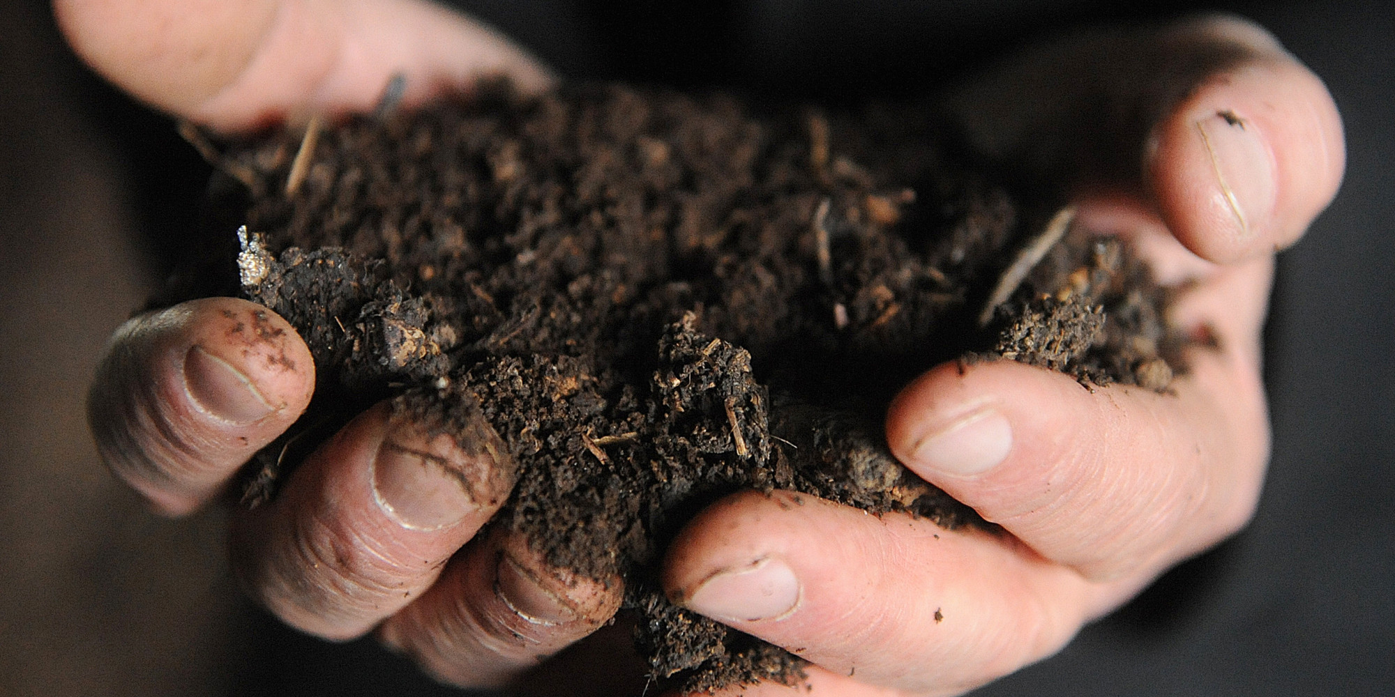 How To Start Composting And Reduce Your Trash In Half HuffPost