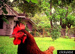 6 Tricks That Let You Control Animals Like The Beast Master
