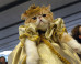 19 Dramatic Animals Who Think All The World's A Stage