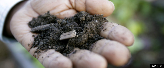 Compost
