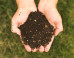 How to Compost at Home