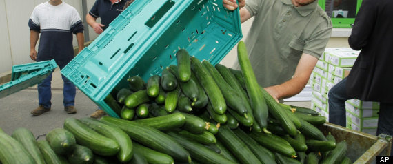 E Coli Cucumber Europe German