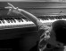 Young, Gifted and Black: Augusta's Adopted Rising Star Makes Conducting Debut at Carnegie Hall