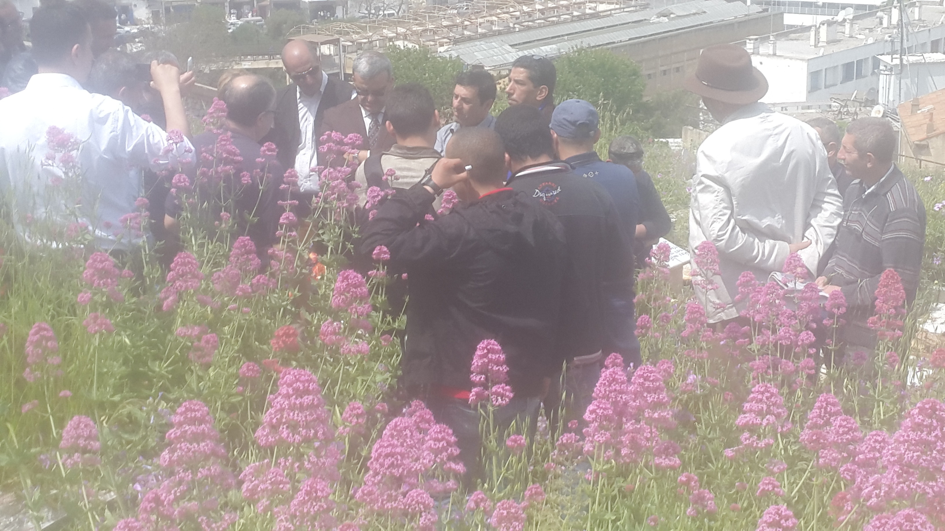 mhamed rachedi hommage