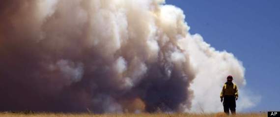 Wildfire