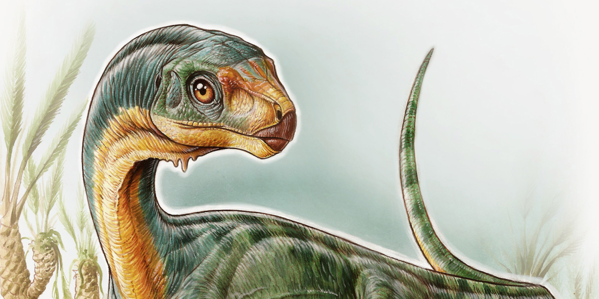 vegetarian long neck dinosaur