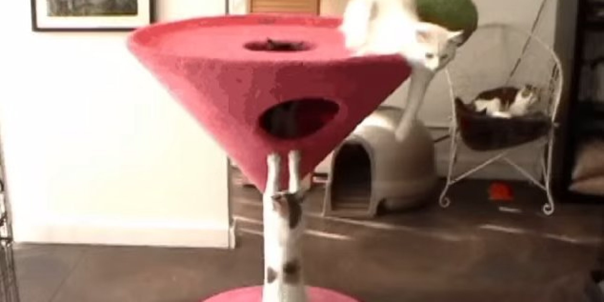 Give This Luxurious MartiniShaped Kitty Condo To A Glamorous Cat Who