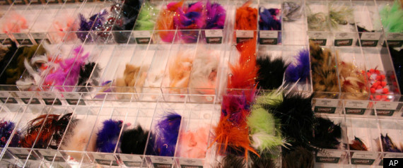 Feathers Used For Fishing Fashion