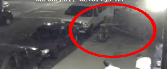 Bike Thief Chops Tree