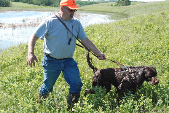dog hunting