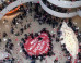 BREAKING: May Day Occupation at Guggenheim Closes Museum #GuggOccupied