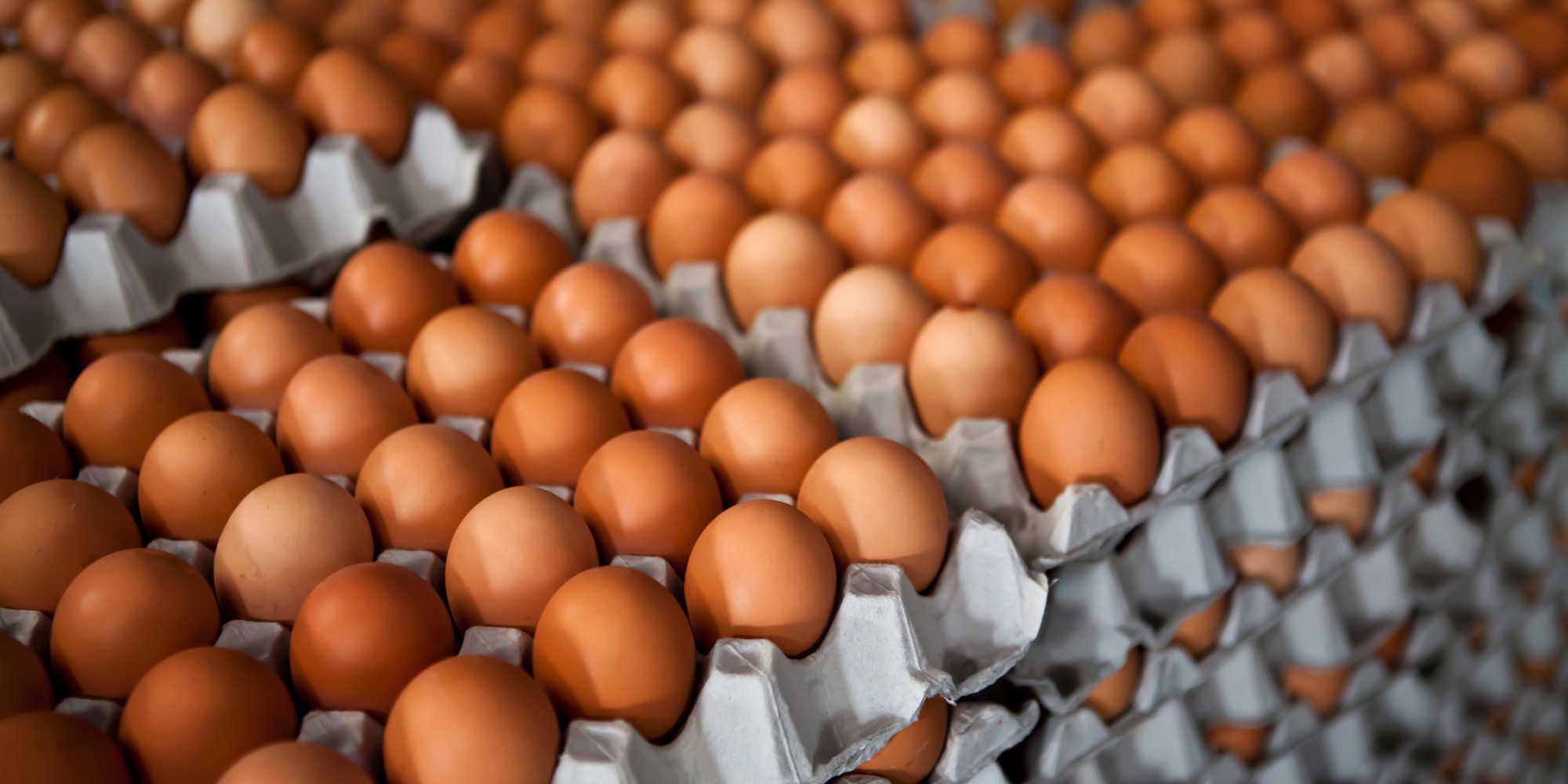 7 Good Reasons to Shun Eggs During National Egg Month and All Other