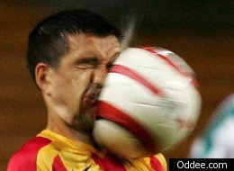 15 Coolest Pictures Taken At The Right Time