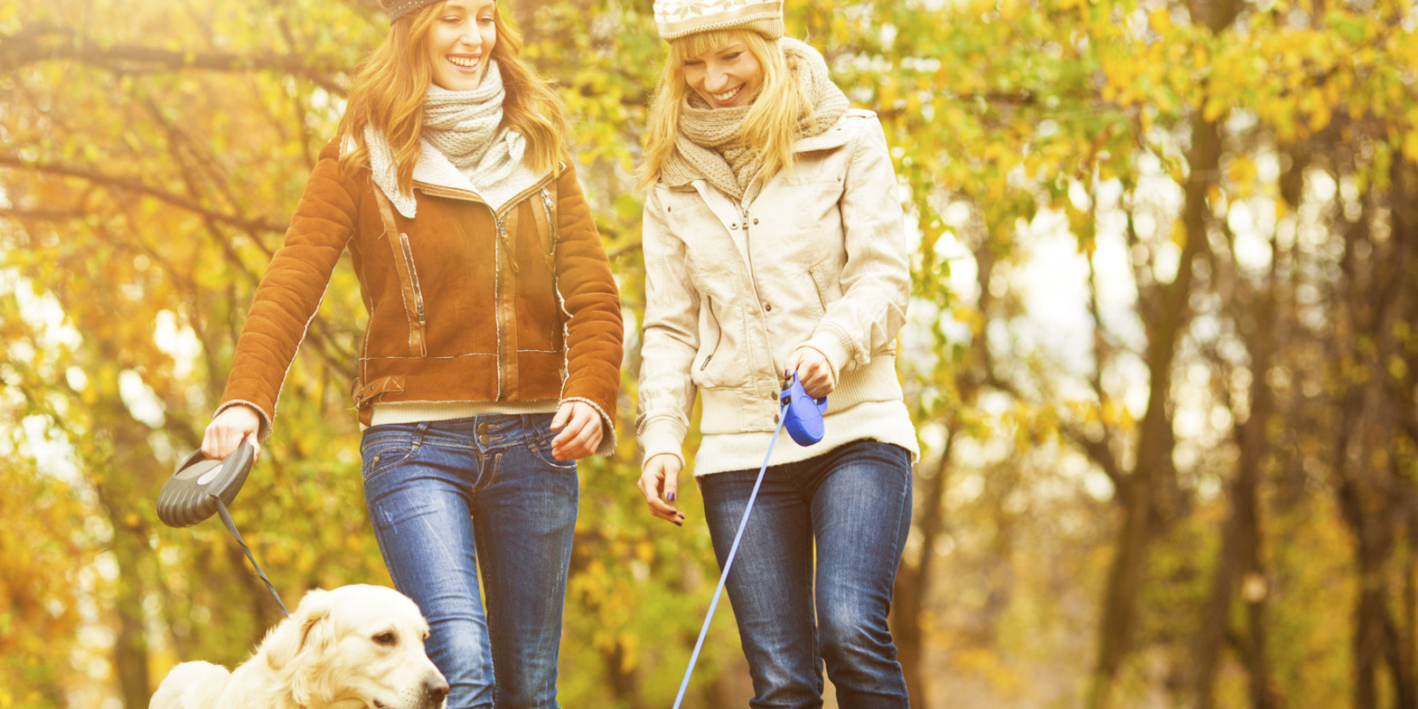 Why People Love Their Dogs So Much, According to Science HuffPost