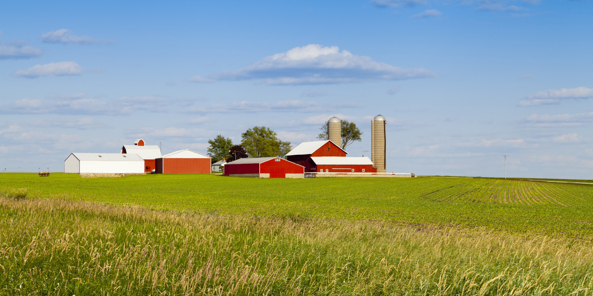 where-to-eat-farm-to-fork-in-montreal-yelp-canada