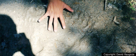 Bigfoot Print 2008