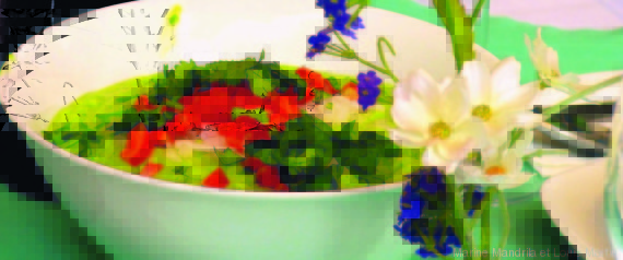 recette guacamole