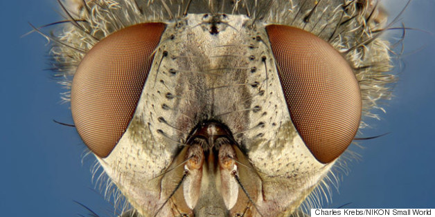 Are These The Coolest Science Photos Of The Past Decade?