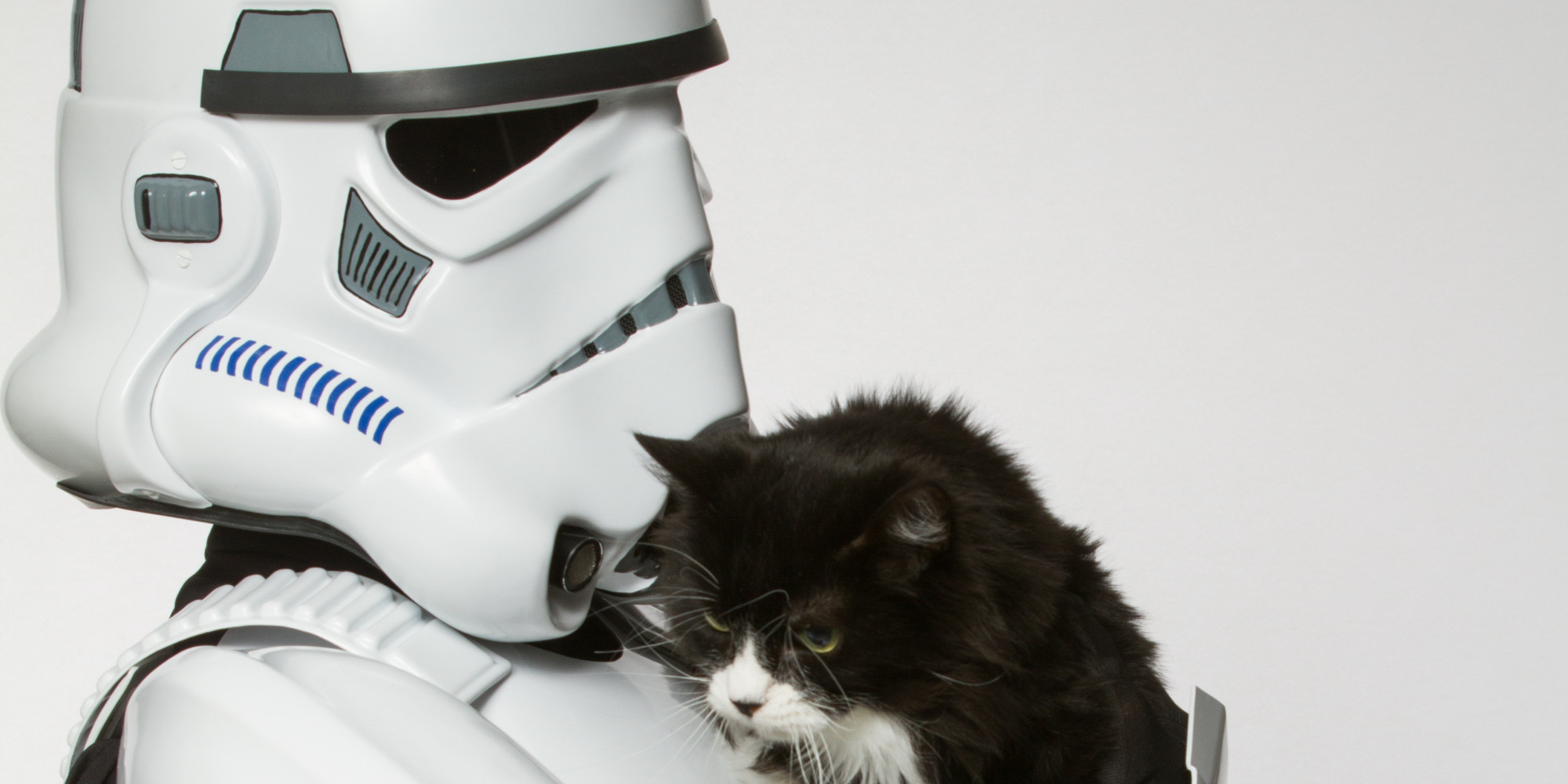 stormtrooper cat costume