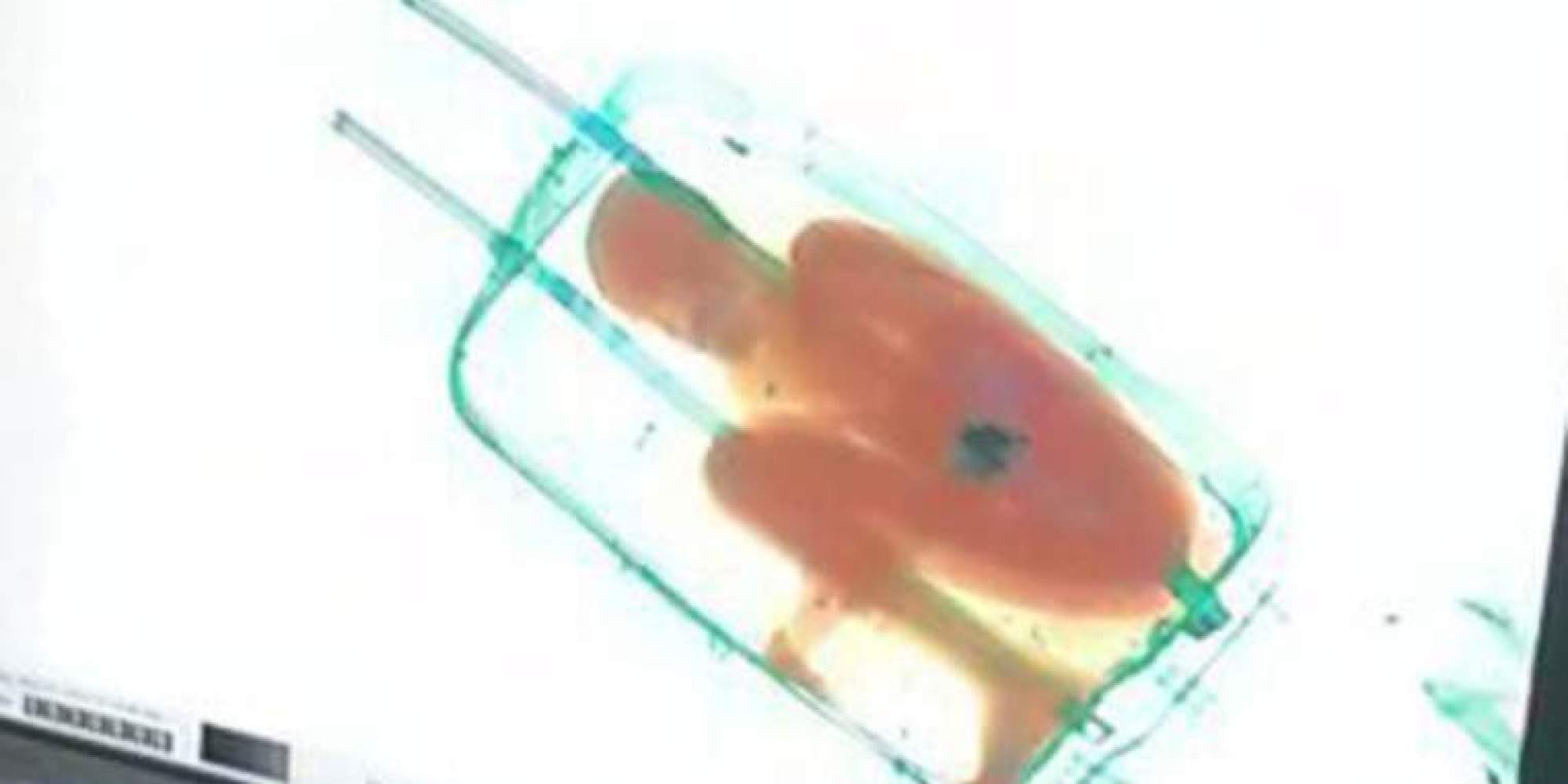 EightYearOld Boy Found Smuggled In Suitcase At Ceuta Border Crossing