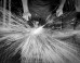 People At Work - Photographs by Tim Allen
