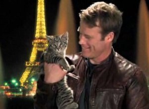 Hot Dudes With Kittens