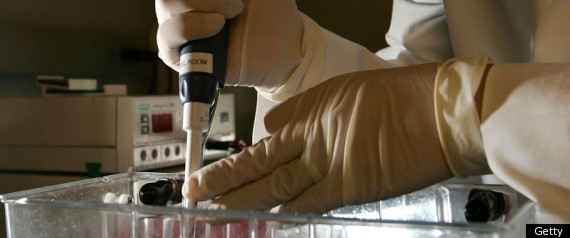 Cancer Vaccine
