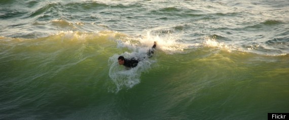 La Surfing