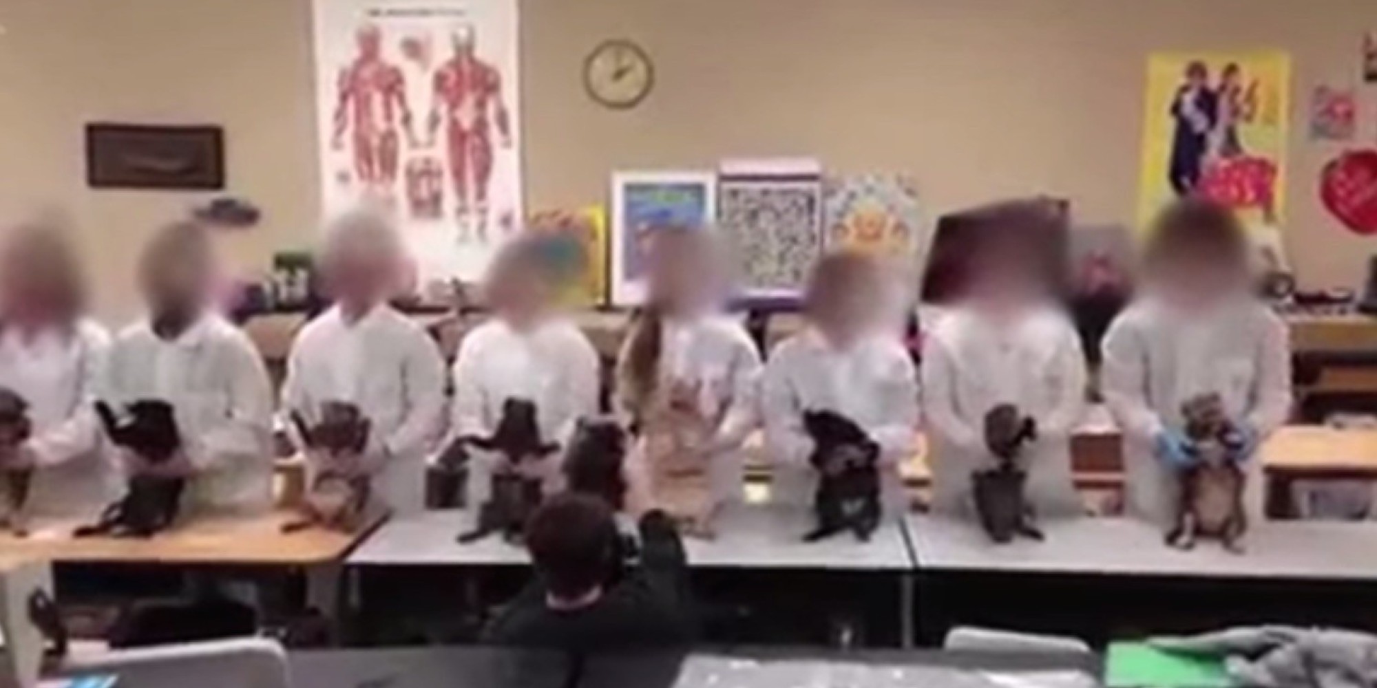 Harding Charter Preparatory High School Students Use Dead Cats In Bizarre ... - Huffington Post