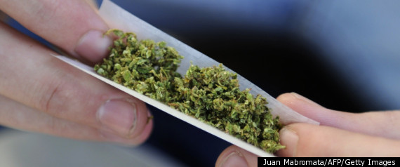 Pothead Smokes Real Grass
