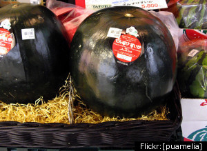Densuke Watermelon