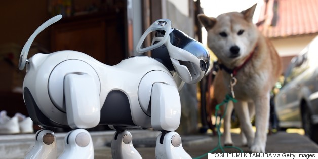 Are Living, Breathing Pets Doomed To Obsolescence?