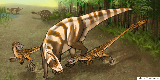 Meet Velociraptor's Even Deadlier Cousin