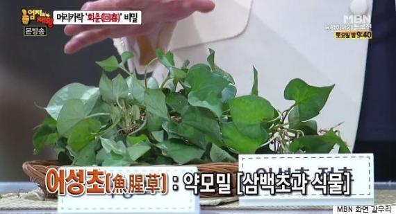 제왕정보통신 이미지