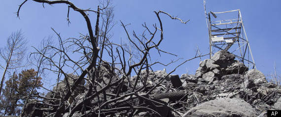 Arizona Wildfire Endangered Species
