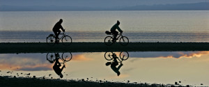bicicletas