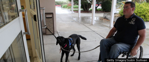 Service Dog