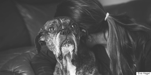 Photographer Takes Moving Pictures Of Families With Their Dying Pets