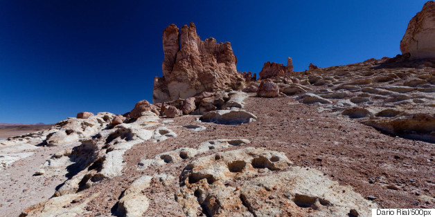 Scientists Shocked To Find Life In The Driest Place On Earth