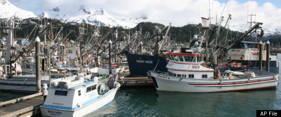 Alaska Earthquake 2011 Tsunami Warning System Glit