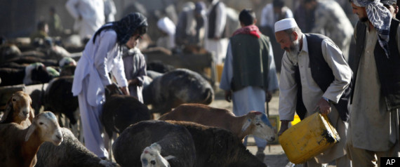 Afghan Corruption Study