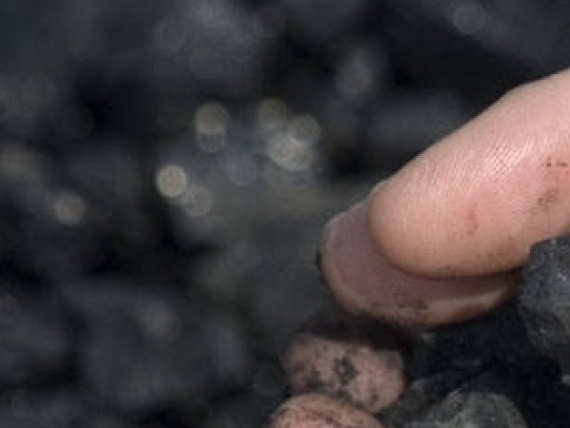 Coal